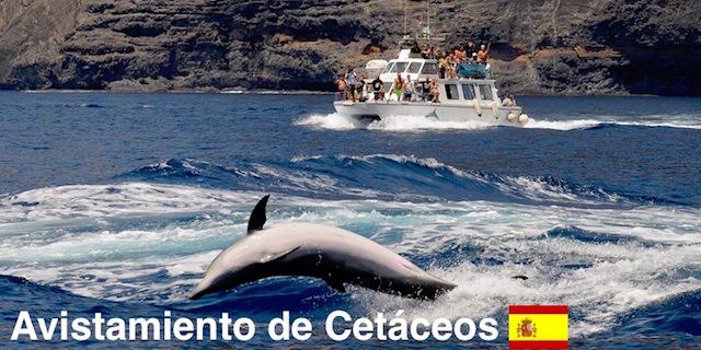 Avistamiento de Cetáceos ES