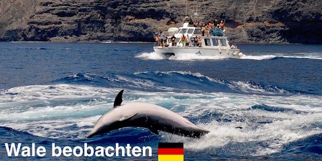 Wale beobachten DE