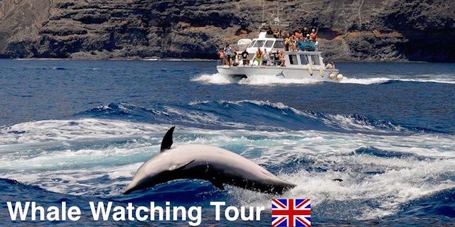 Whale Watching Tour EN