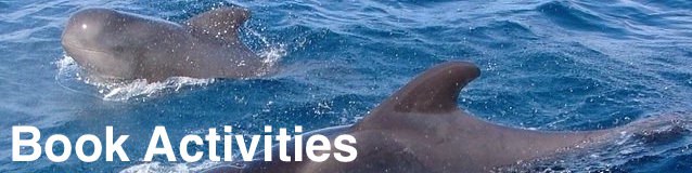 Playa de las Americas book activities